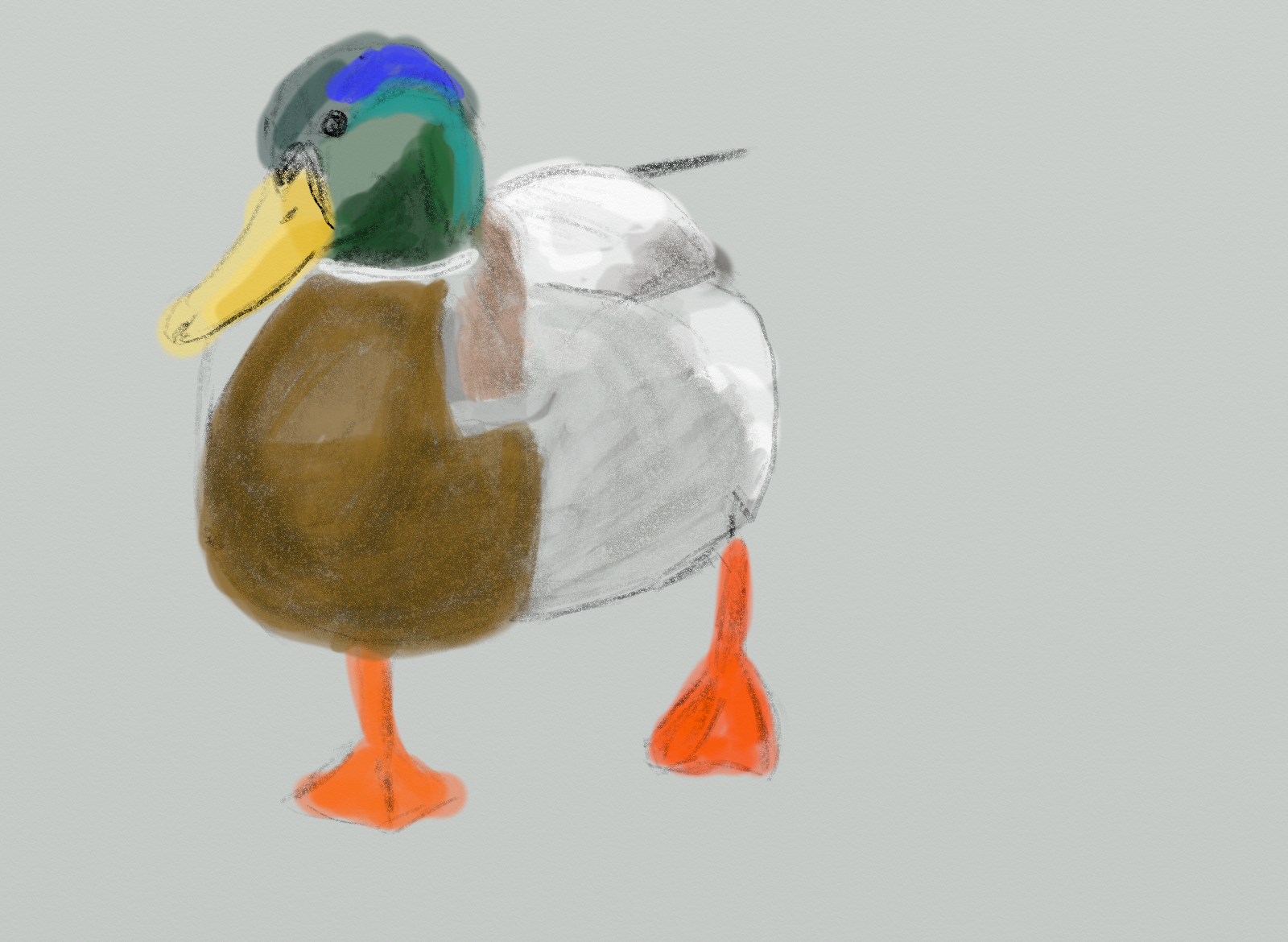 Quick duck sketch